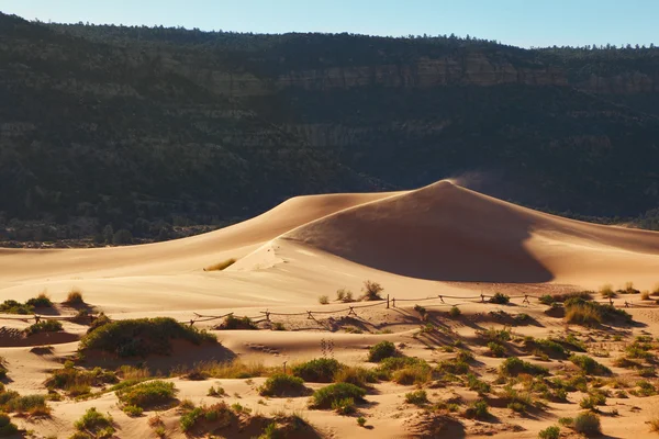 La duna di sabbia gialla arancione — Foto Stock