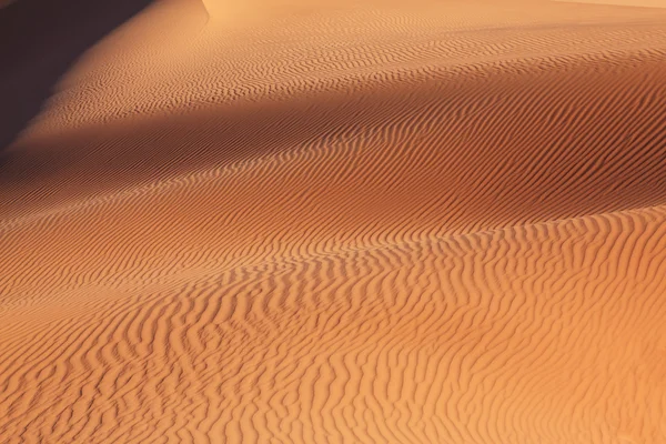 Des vagues de sable doux scintillent au soleil — Photo