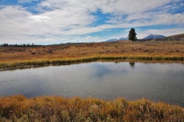 yellowstone Millî Parkı stream