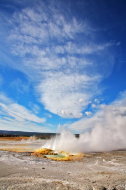 The geysers and hot sources in Yellowstone national park. clipart