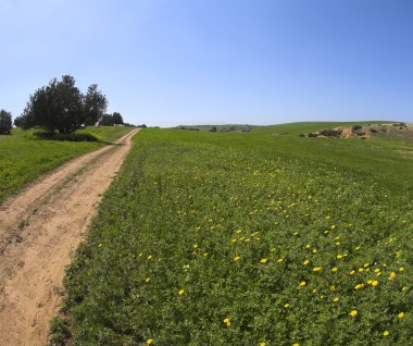 toprak kırsal yol