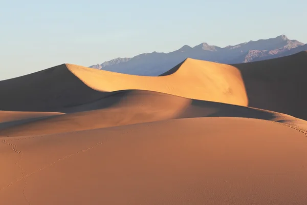 Dunes de sable clairement éclairées par le lever du soleil — Photo