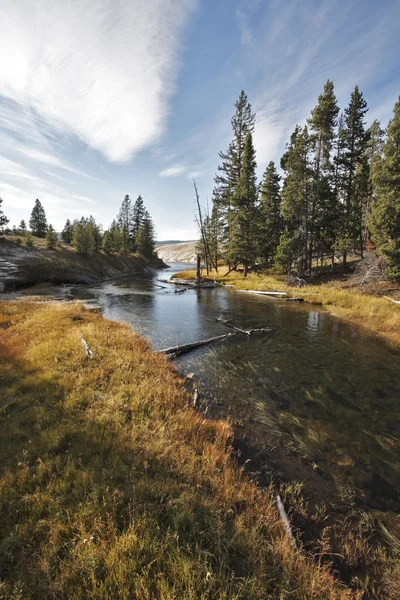 The autumn day in Yellowstone park — Stock Photo, Image