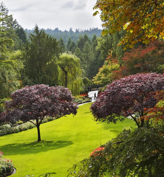 Butchard-garden en la isla Vancouver en Canadá — Foto de Stock