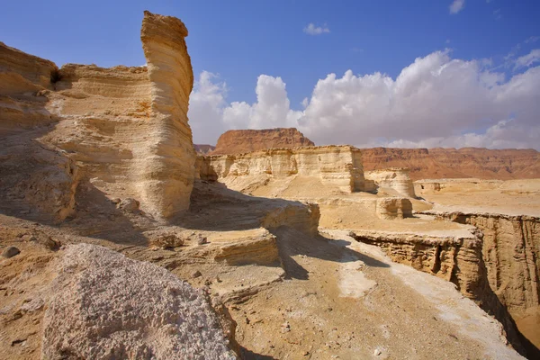 Cañón seco pintoresco en el desierto — Foto de Stock