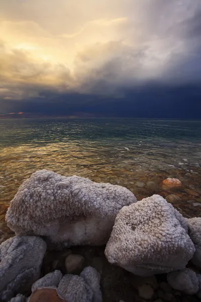 塩味の延期によって覆われている沿岸石 — ストック写真