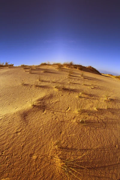 Piaszczyste wydmy na zachód słońca — Zdjęcie stockowe