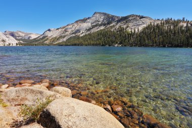 yellowstone Ulusal Parkı içinde büyük göl