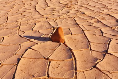 The desert of National park Dead Walley clipart