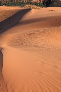 Turuncu kum tepeleri üzerinde sabah erken