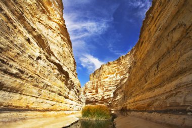 muhteşem gorge tr-avdat