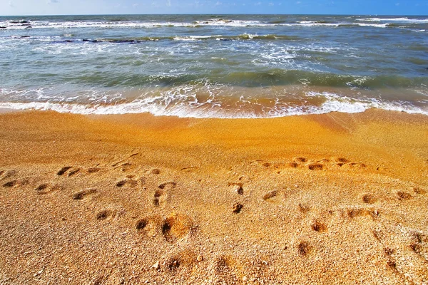 Stopy v písku. — Stock fotografie
