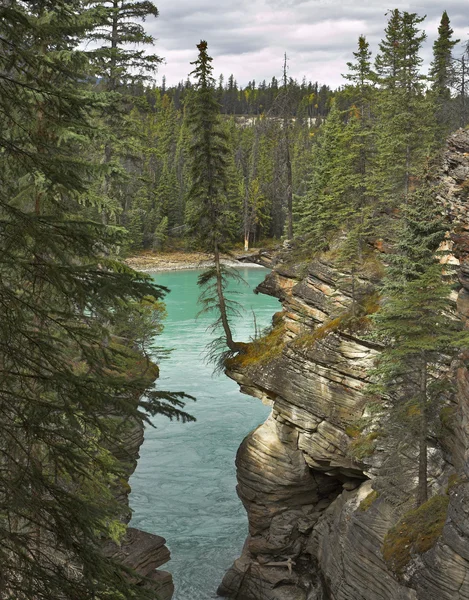 Vodopády "athabasca" — Stock fotografie