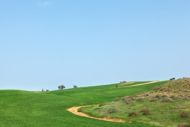 erken ilkbaharda alanları