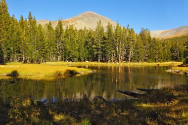 yellowstone park sessiz bir gölde