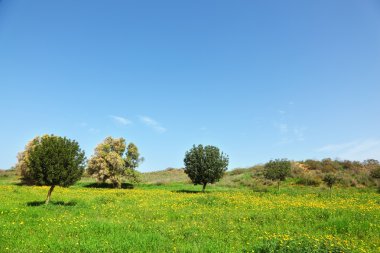 açık hava