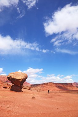 Tourist pictures of a giant stone 