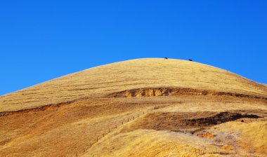 california'nın sonbahar tepeleri