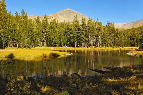 Een rustige lake in yellowstone park — Stockfoto