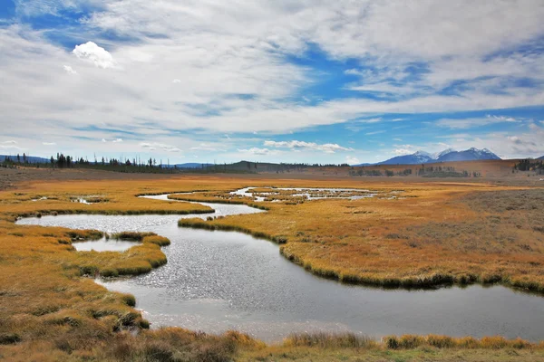 La llanura y arroyo en el parque nacional de Yellowstone —  Fotos de Stock