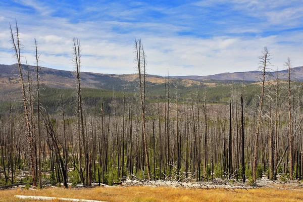 stock image The Yellowstone national park in the autumn