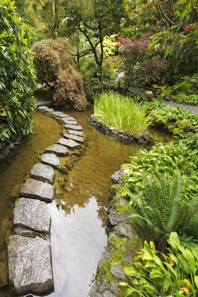 Un ruisseau et un sentier de pierres — Photo