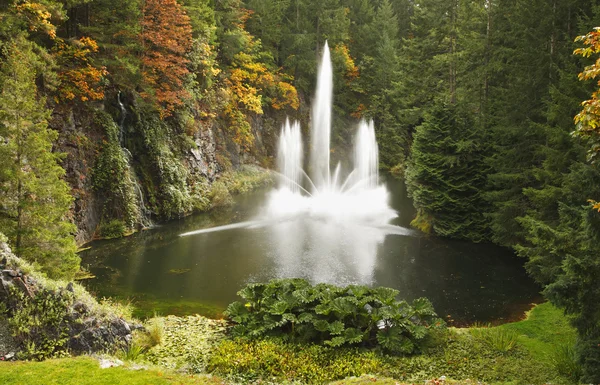 Magnífica fuente en Butchard-garden en Canadá —  Fotos de Stock