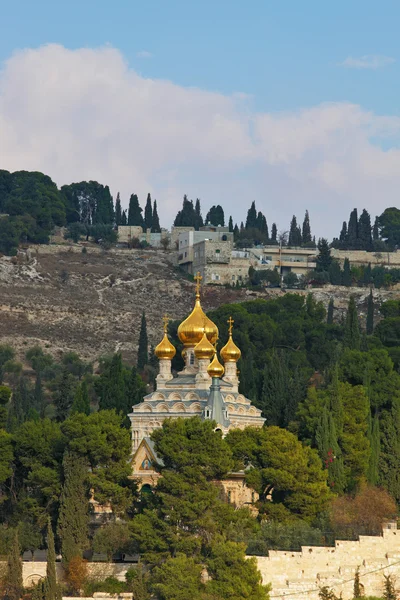 Monte das azeitonas, Jerusalém — Fotografia de Stock