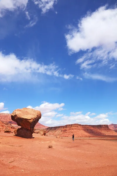 Turist bilder av en gigantisk sten "svamp" — Stockfoto