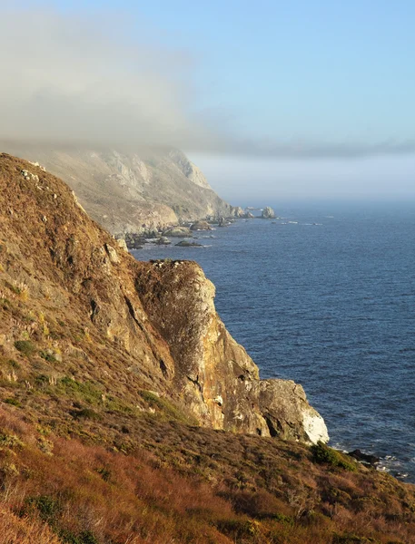 Coast of Pacific ocean and a morning fog — Stock Photo, Image