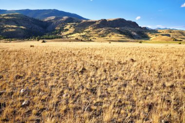 The American prairie in autumn day clipart