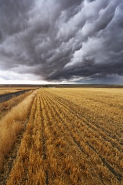 montana yukarıda thunderclouds