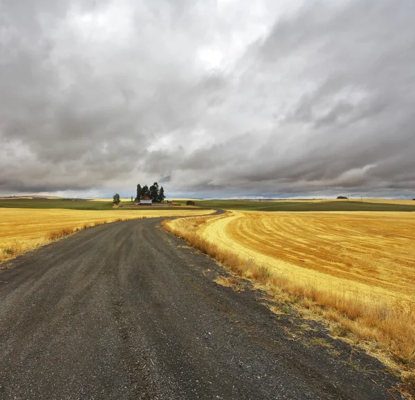 Huge fields of Montana — Stock Photo, Image
