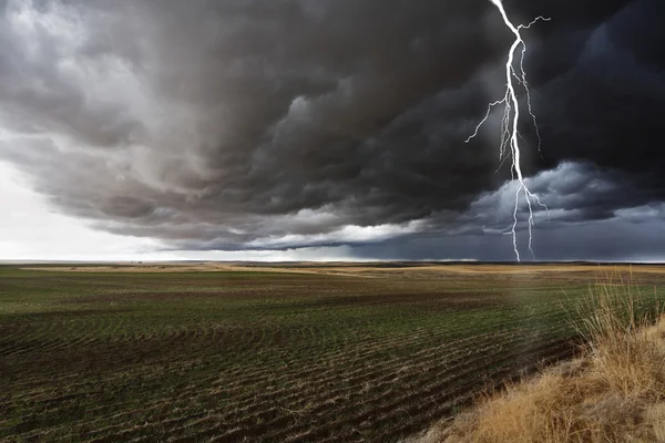 De storm begint. — Stockfoto