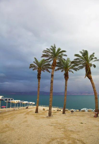 Palmen und Vordächer am Strand im Gewitter — Stockfoto