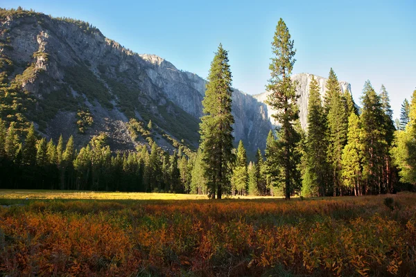 The beautiful glade in Yosemite — Stock Photo, Image