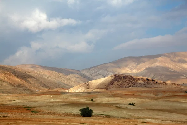 stock image Desert Sinai. Early morning