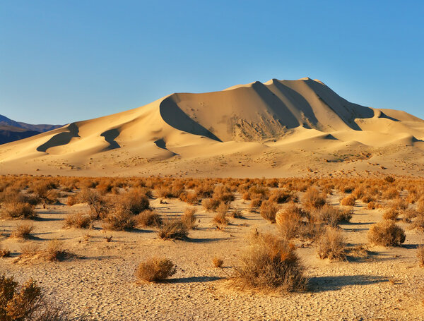 Magnificent sandy dune in desert