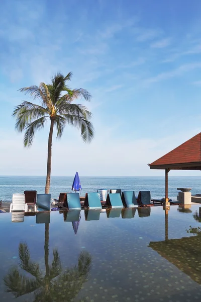 Palmiye ağacı ve plaj sandalyeleri — Stok fotoğraf