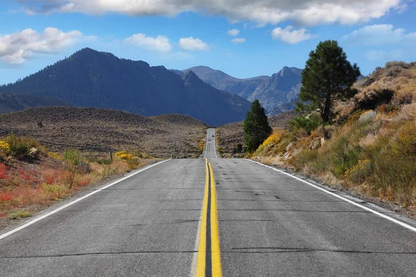 A estrada atravessa o deserto — Fotografia de Stock