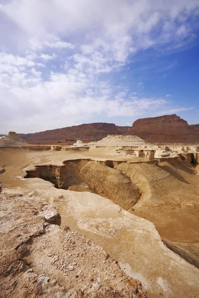 Die Schluchten und Klippen in der Wüste — Stockfoto