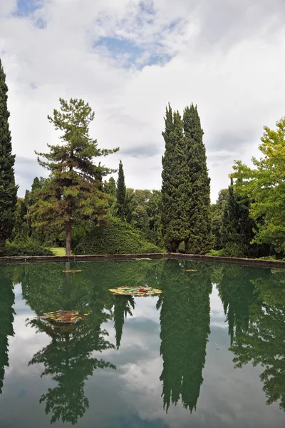 A lagoa e árvores — Fotografia de Stock