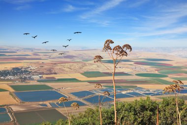 View from Mount Gilboa clipart