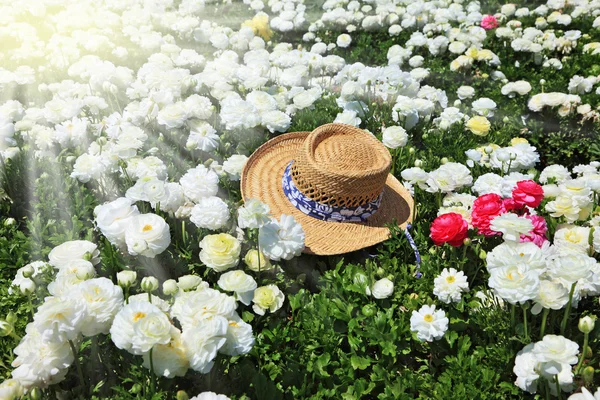 Elegant straw hat on a sunny day — Stock Photo, Image