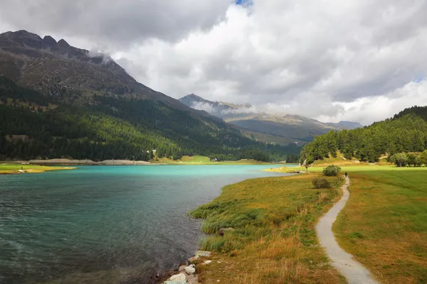 Camino en los Alpes suizos — Foto de Stock