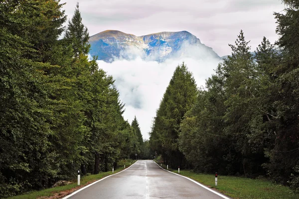 El camino en los Alpes — Foto de Stock