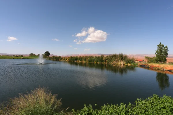 Lago tranquilo no clube de golfe — Fotografia de Stock