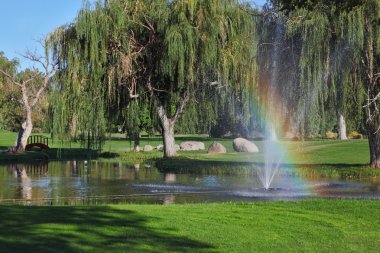 de bomen en lichtend regenboog