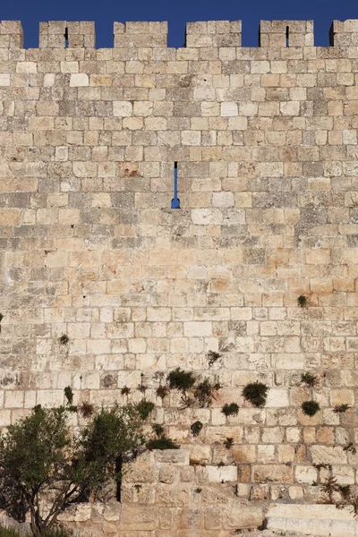 Τα τείχη της Ιερουσαλήμ σε μια καλοκαιρινή μέρα — Φωτογραφία Αρχείου