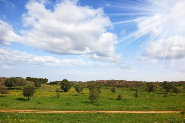 Magníficas nubes de cúmulos en el cielo . —  Fotos de Stock